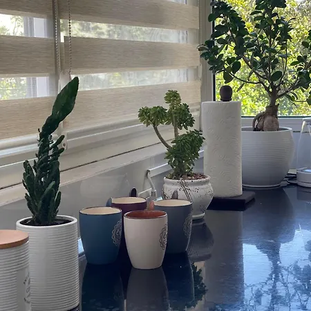 Appartamento Edion Center Shkodër