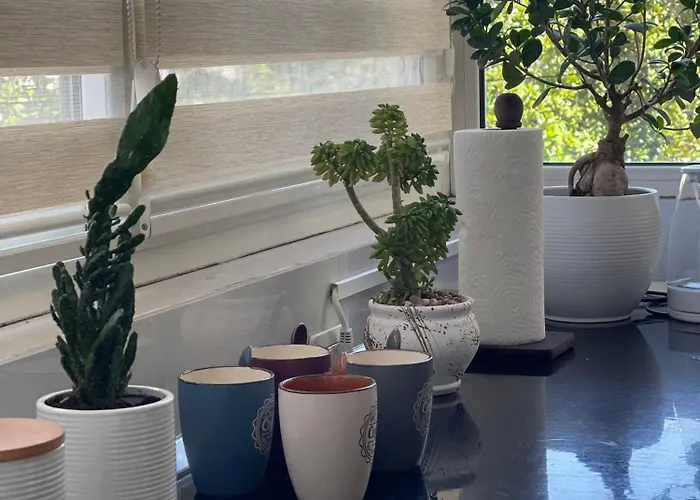 Appartamento Edion Center Shkodër