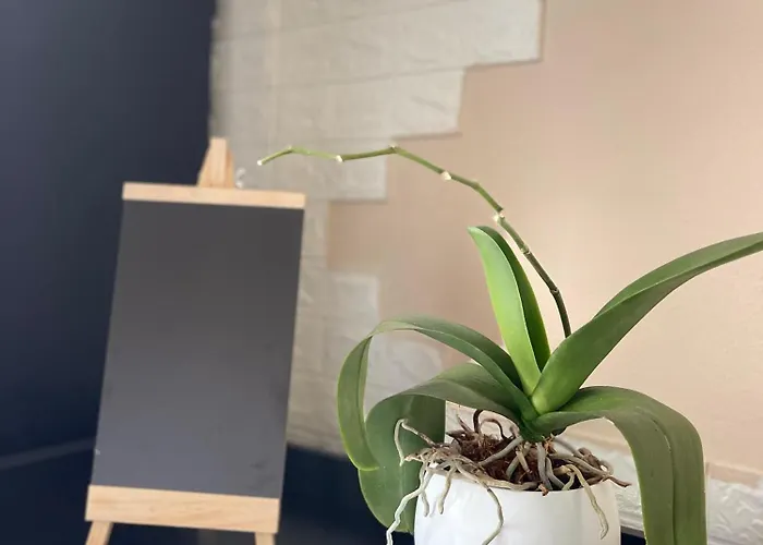 Edion Center Apartmán Shkodër