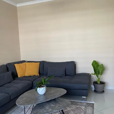 Edion Center * Shkodër