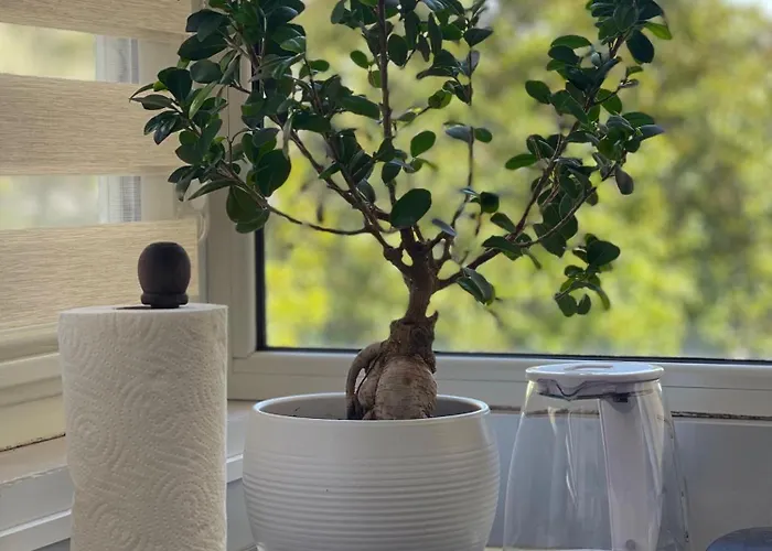 Edion Center Lejlighed *