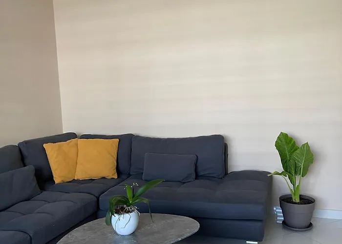 Edion Center * Szkodra